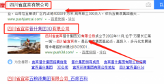 四川省宜賓普什集團3D有限公司與我司做網(wǎng)站推廣項目