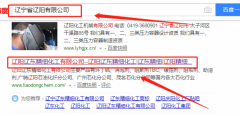 遼陽遼東精細(xì)化工有限公司與我司做網(wǎng)站推廣項目