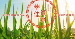 山東莘縣莘*飼料有限公司網(wǎng)站建設(shè)可視化建站作品欣賞