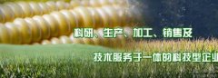 吉林省天*固種業(yè)有限責任公司網(wǎng)站建設(shè)可視化建站作品欣賞