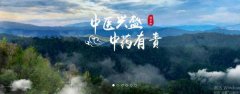 普洱淞*醫(yī)藥集團有限公司網(wǎng)站建設新一代自助建站、智能建站系統(tǒng)