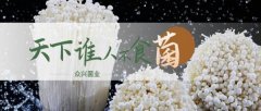 天水眾*菌業(yè)股份有限公司網站建設有創(chuàng)意的主題設計