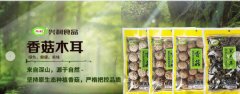 鐘祥興*食品股份有限公司企業(yè)網(wǎng)站建設(shè)可視化建站作品欣賞